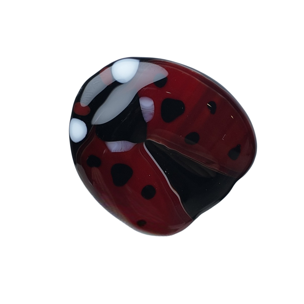 Anillo Catarina